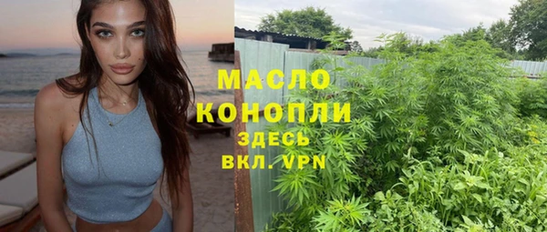 мдпв Богородск