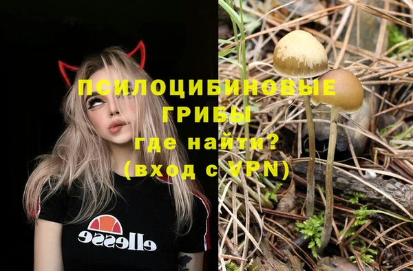 метамфетамин Богданович