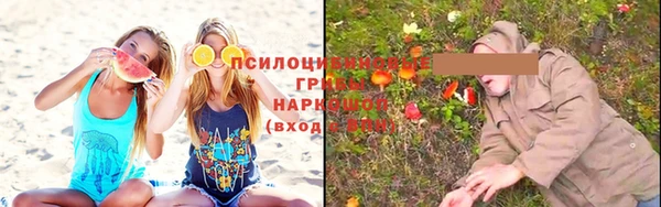 мдпв Богородск