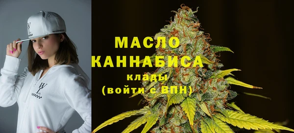мдпв Богородск